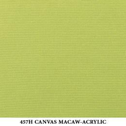 457H-CANVAS-MACAW-ACRYLIC
