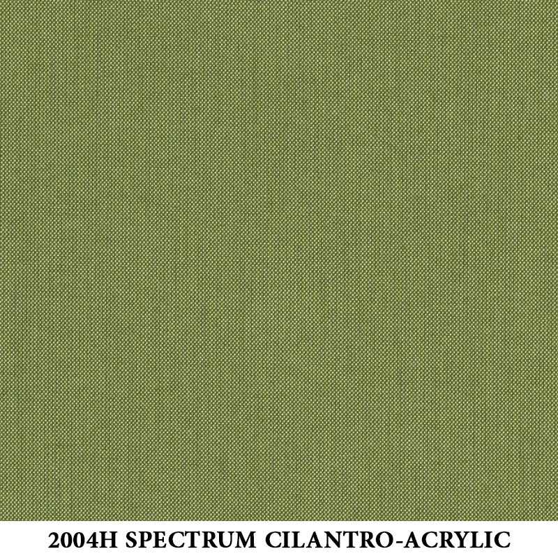2004H Spectrum Cilantro-Acrylic