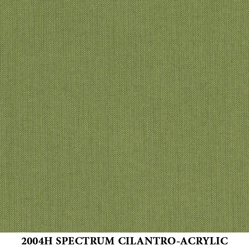 2004H Spectrum Cilantro-Acrylic