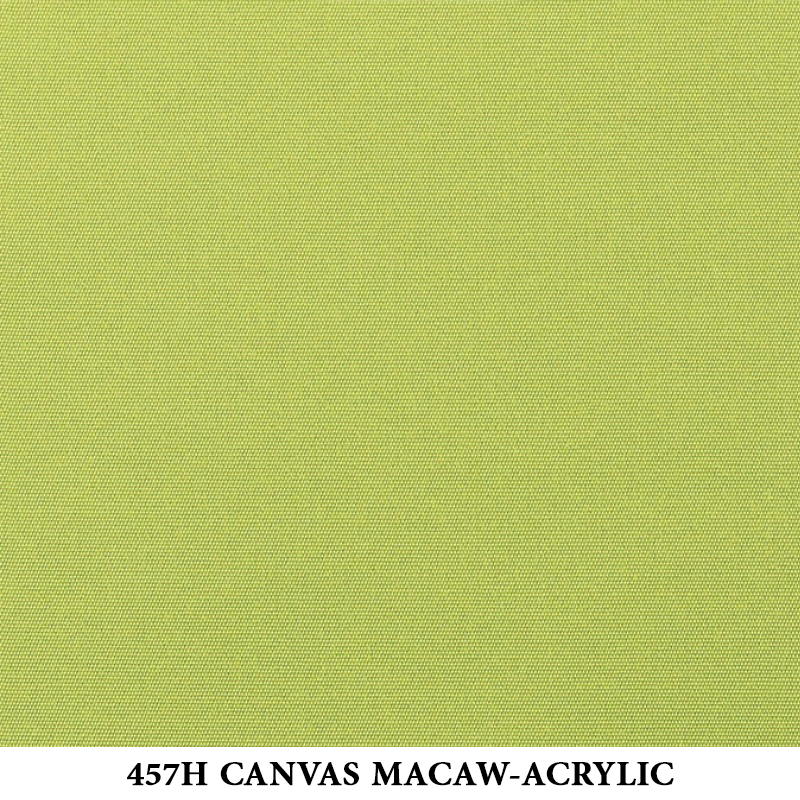 457H Canvas Macaw-Acrylic